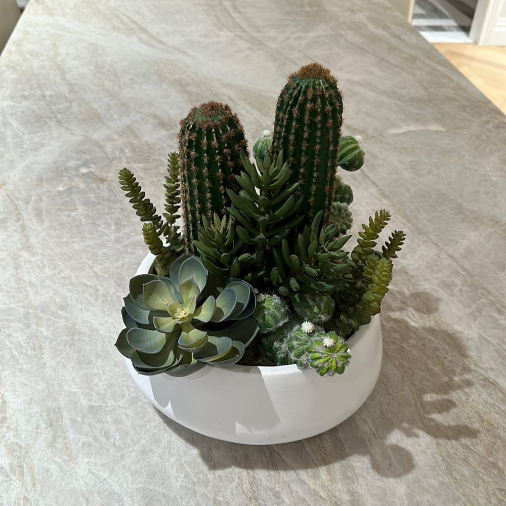 Decor Display faux potted succulent in ceramic bowl.